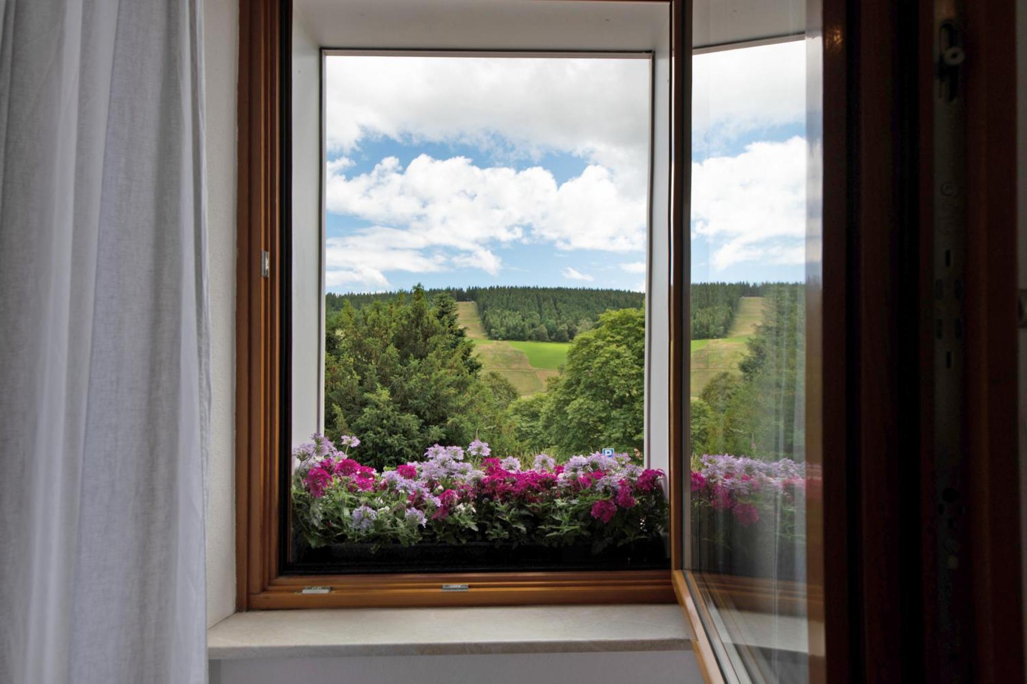 Haus Bergruh Fuchsbau Appartement Todtnauberg Buitenkant foto